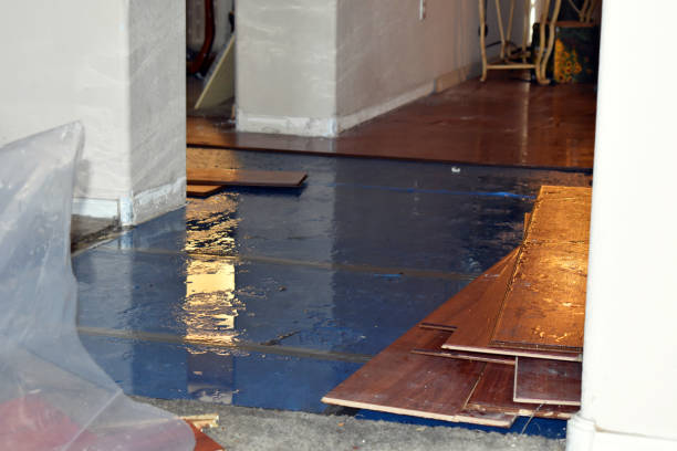 Professional Flood Cleanup technician working in Orleans, MI